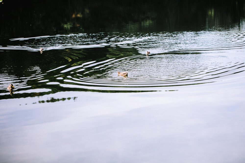 Hochzeitsfotograf Sauerland Meinerzhagen Hochzeit anzug mint brautpaarshooting meinerzhagen miriam folak lennestadt hochzeitsbahnhof ambientetrauung standesamt 115