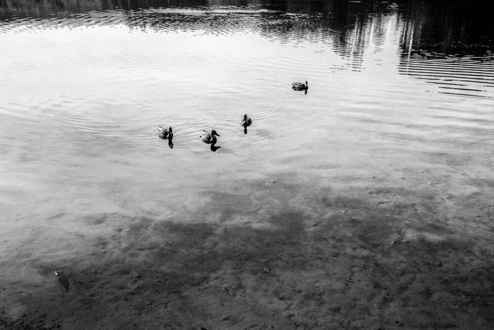Hochzeitsfotograf Sauerland Meinerzhagen Hochzeit anzug mint brautpaarshooting meinerzhagen miriam folak lennestadt hochzeitsbahnhof ambientetrauung standesamt 117