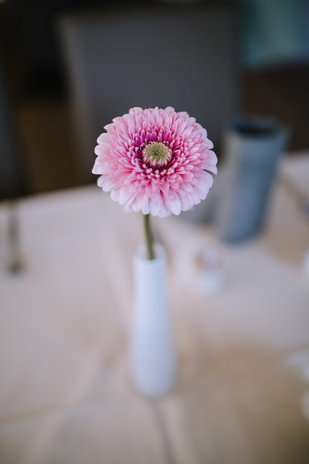 Hochzeitsfotograf Sauerland Meinerzhagen Hochzeit anzug mint brautpaarshooting meinerzhagen miriam folak lennestadt hochzeitsbahnhof ambientetrauung standesamt 227