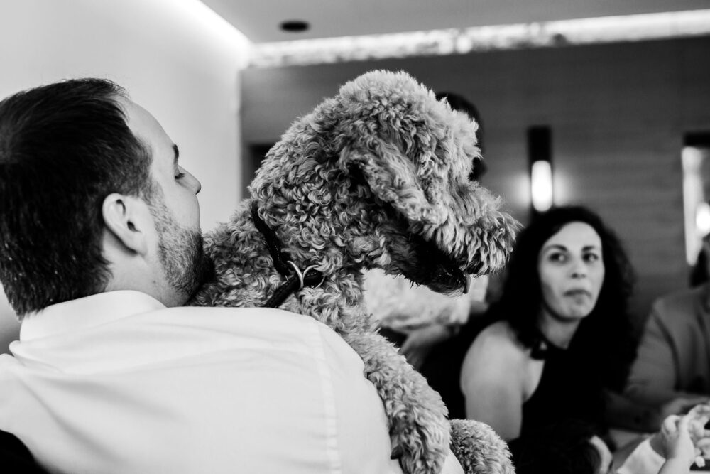 Hochzeitsfotograf Sauerland Meinerzhagen Hochzeit anzug mint brautpaarshooting meinerzhagen miriam folak lennestadt hochzeitsbahnhof ambientetrauung standesamt 260