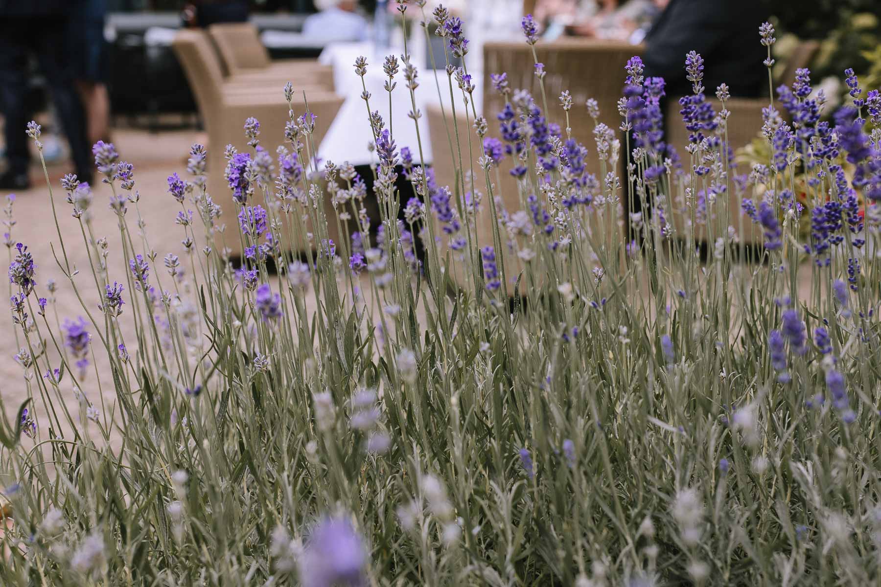 Hochzeitsfotografin Sauerland hochzeitsfotograf ruhrgebiet confideum voshoevel hochzeit niederrhein miriam folak hochzeitsfotografin nrw hochzeitsreportage ambientetrauung 476