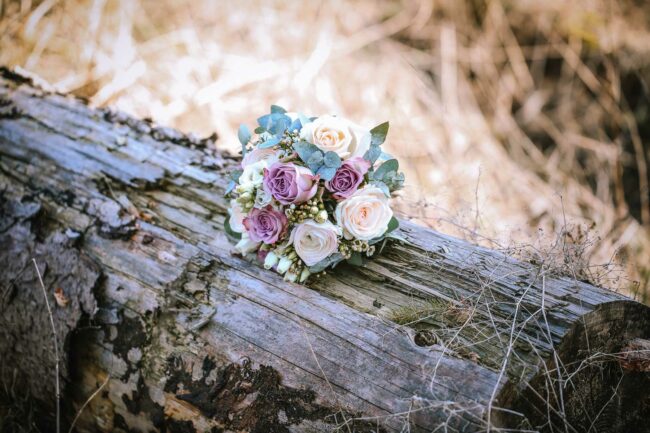 Hochzeitsfotografin marsberg bredelar hochsauerland hochzeitsfotograf sauerland meinerzhagen ruhrgebiet wilde wiese 34 1