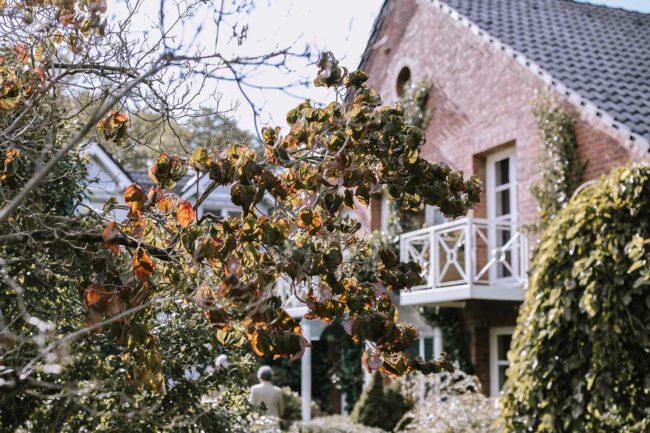 Hochzeitsfotografin sauerland landhotel voshoevel hochzeit confideum hochzeitssuite destination wedding germany heiraten in deutschland hochzeitsfotograf ruhrgebiet niederrhein 599