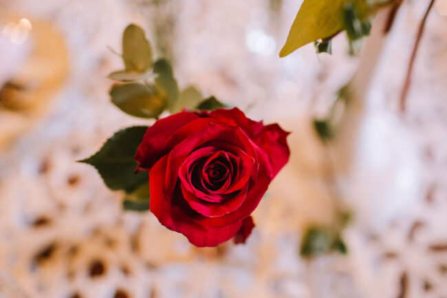 historische brennerei roensahl kochbar kierspe hochzeitsfotograf sauerland hochzeitsfotografin koeln bergische hochzeitslocation nrw kochanowa boutanique marburg 18