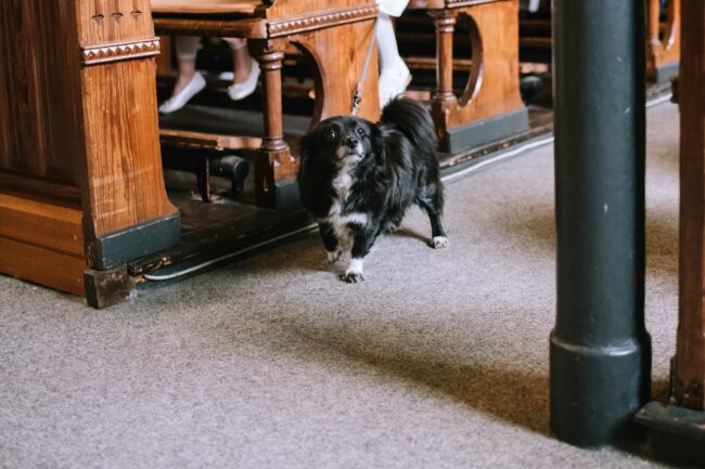 hochzeitsfotografin sauerland hochzeit breckerfeld halver italienische landhochzeit meinerzhagen 122
