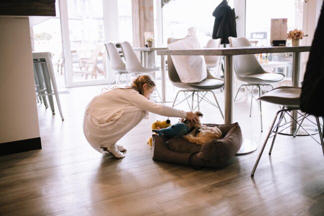 hochzeitsfotografin sauerland hochzeit breckerfeld halver italienische landhochzeit meinerzhagen 72