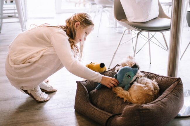 hochzeitsfotografin sauerland hochzeit breckerfeld halver italienische landhochzeit meinerzhagen 73