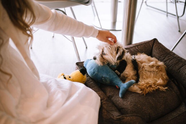 hochzeitsfotografin sauerland hochzeit breckerfeld halver italienische landhochzeit meinerzhagen 74