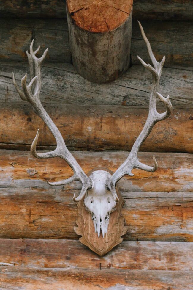 landhotel voshoevel confideum fotograf hochzeitsfotograf ruhrgebiet niederrhein sauerland folak ambientetrauung destination wedding germany 532