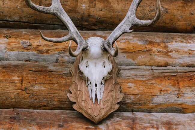 landhotel voshoevel confideum fotograf hochzeitsfotograf ruhrgebiet niederrhein sauerland folak ambientetrauung destination wedding germany 533