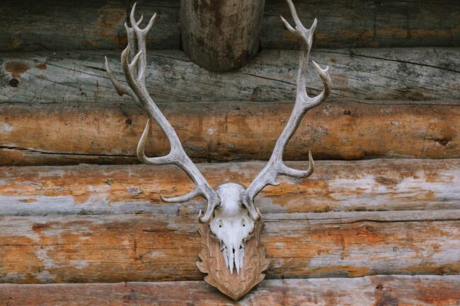 landhotel voshoevel confideum fotograf hochzeitsfotograf ruhrgebiet niederrhein sauerland folak ambientetrauung destination wedding germany 733