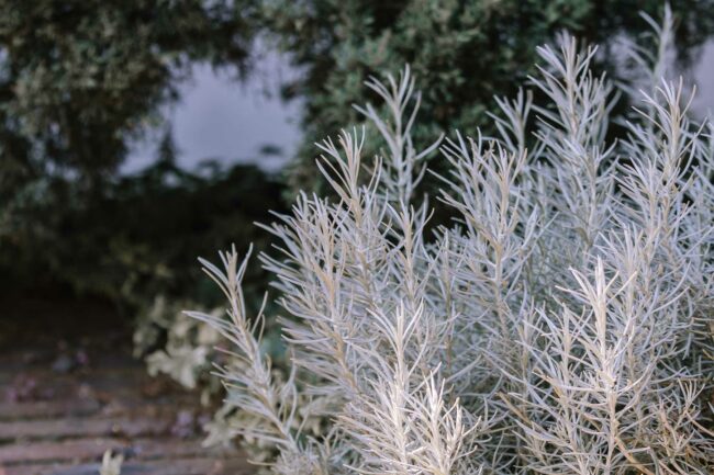 Hochzeitsfotografin sauerland hochzeitsfotograf nrw geldern duisburg ruhrgebiet miriam folak essenberg hochheide kirche schloss walbeck hochzeitslocation nrw (20)