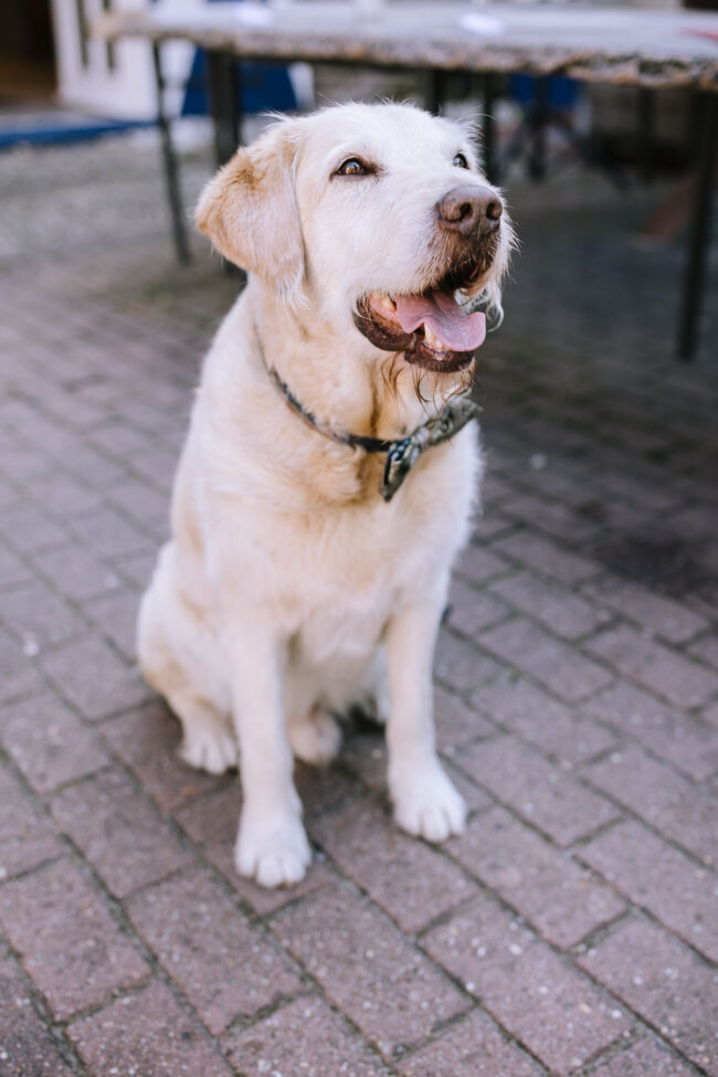 Hochzeitsfotografin sauerland hochzeitsfotograf nrw geldern duisburg ruhrgebiet miriam folak essenberg hochheide kirche schloss walbeck hochzeitslocation nrw (539)
