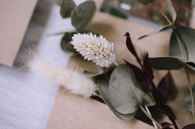 Rittergut Haus Laer Bochum Hochzeit Hochzeitsfotografin sauerland hochzeitsfotograf ruhrgebiet witten freie trauung lgbtq wedding papeterie (2)