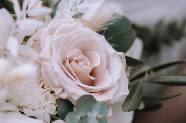 haus kemnade standesamt hochzeitsfotograf ruhrgebiet hochzeitsfotografin sauerland miriam folak hochzeitslocation nrw haus herbede meinerzhagen nrw brautpaarshooting (49)