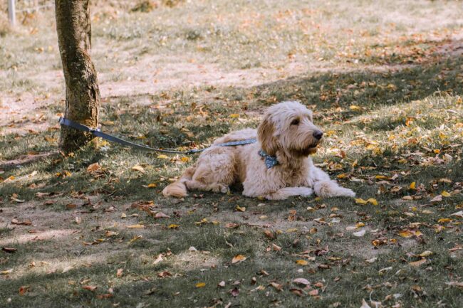hülshoff lippstadt hochzeit hochzeitsfotografin sauerland hochzeitsfotograf ruhrgebiet hochzeitslocation nrw kleine marienkirche stiftsruine st elisabeth lippstadt (177)
