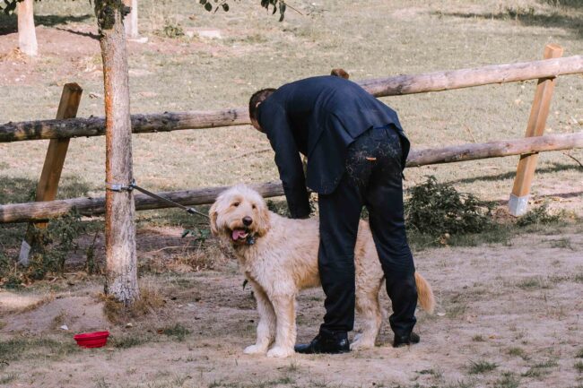 hülshoff lippstadt hochzeit hochzeitsfotografin sauerland hochzeitsfotograf ruhrgebiet hochzeitslocation nrw kleine marienkirche stiftsruine st elisabeth lippstadt (225)