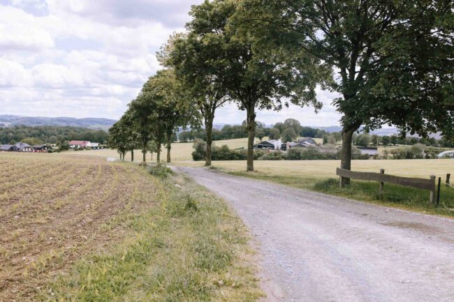 lindlar hochzeitsfotografin sauerland bergisches land oberberg engelskirchen freie trauung rheinland ruhrgebiet meinerzhagen gummersbach (2)