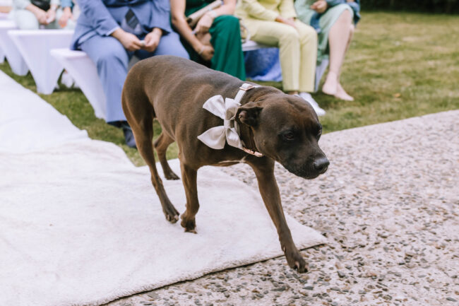 lindlar hochzeitsfotografin sauerland bergisches land oberberg engelskirchen freie trauung rheinland ruhrgebiet meinerzhagen gummersbach (322)