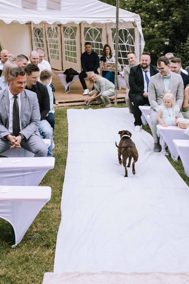 lindlar hochzeitsfotografin sauerland bergisches land oberberg engelskirchen freie trauung rheinland ruhrgebiet meinerzhagen gummersbach (327)