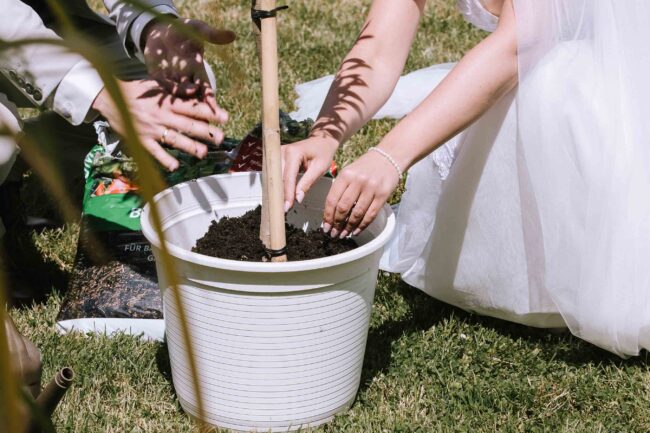 lindlar hochzeitsfotografin sauerland bergisches land oberberg engelskirchen freie trauung rheinland ruhrgebiet meinerzhagen gummersbach (390)