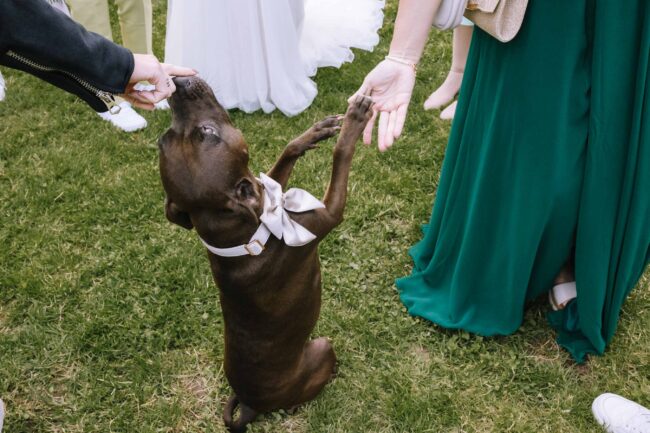 lindlar hochzeitsfotografin sauerland bergisches land oberberg engelskirchen freie trauung rheinland ruhrgebiet meinerzhagen gummersbach (563)