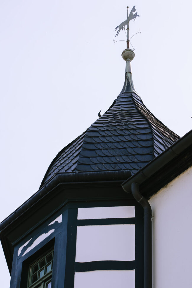 villa bubenzer freudenberg hochzeit schloss friedewald hochzeitsfotografin sauerland westerwald ambientetrauung schlosshochzeit hochzeitsfotograf ruhrgebiet (3)