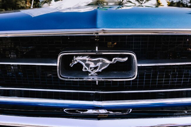 villa bubenzer freudenberg hochzeit schloss friedewald hochzeitsfotografin sauerland westerwald ambientetrauung schlosshochzeit hochzeitsfotograf ruhrgebiet (409)