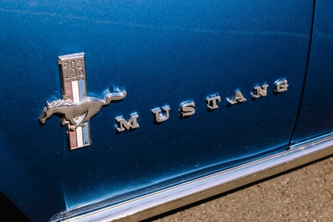 villa bubenzer freudenberg hochzeit schloss friedewald hochzeitsfotografin sauerland westerwald ambientetrauung schlosshochzeit hochzeitsfotograf ruhrgebiet (411)