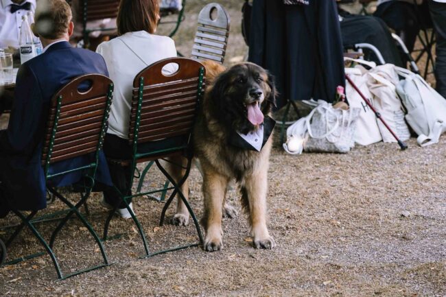 villa bubenzer freudenberg hochzeit schloss friedewald hochzeitsfotografin sauerland westerwald ambientetrauung schlosshochzeit hochzeitsfotograf ruhrgebiet (592)