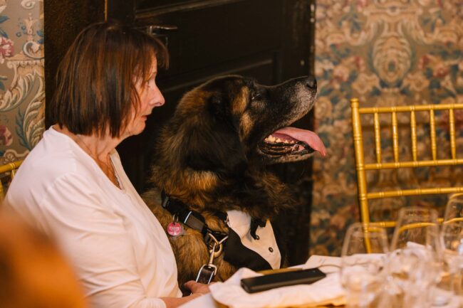 villa bubenzer freudenberg hochzeit schloss friedewald hochzeitsfotografin sauerland westerwald ambientetrauung schlosshochzeit hochzeitsfotograf ruhrgebiet (861)