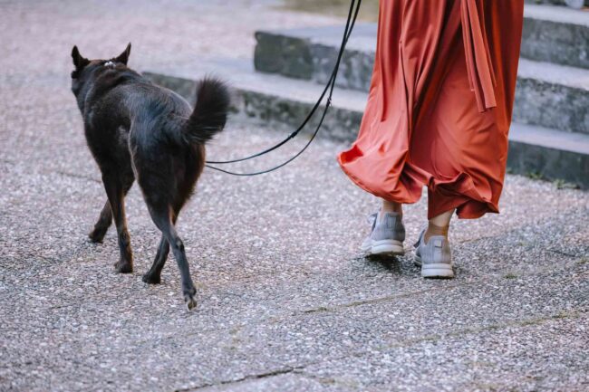 villa bubenzer freudenberg hochzeit schloss friedewald hochzeitsfotografin sauerland westerwald ambientetrauung schlosshochzeit hochzeitsfotograf ruhrgebiet (940)