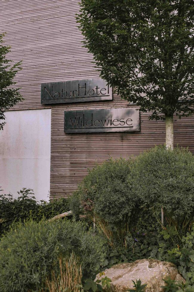 steinbergs wildewiese freie trauung hochzeitsfotografin sauerland skihuette hofolpe kirche st antonius hochzeitslocation nrw ruhrgebiet gut ahe friggen (904)