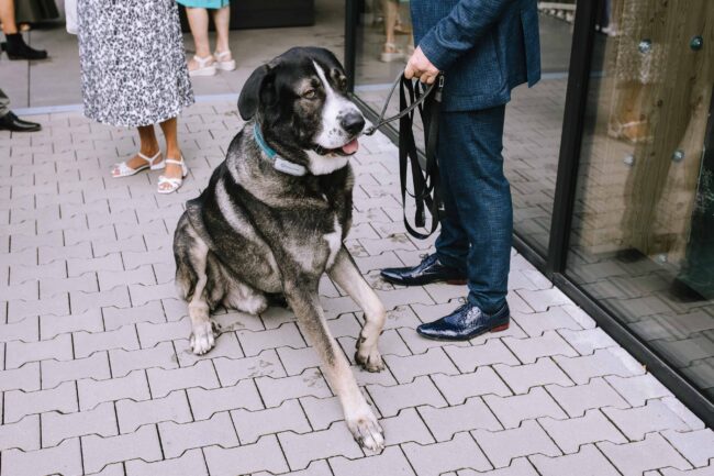 gut ahe friggen hochzeit hochzeitslocation nrw waldhochzeit hochzeitsfotografin sauerland lennestadt ruhrgebiet olpe hochzeitsfotos (717)