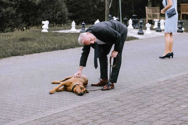 gut ahe friggen kirchhundem hochzeitsfotografin sauerland hochzeitslocation nrw wildewiese lennestadt hochzeitsfotos miriam folak hochzeits wg hochzeitsmesse (112)