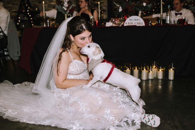 Brennerei rönsahl kierspe hochzeitslocation nrw sauerland hochzeitsfotografin meinerzhagen winterhochzeit weihnachtshochzeit (1062)