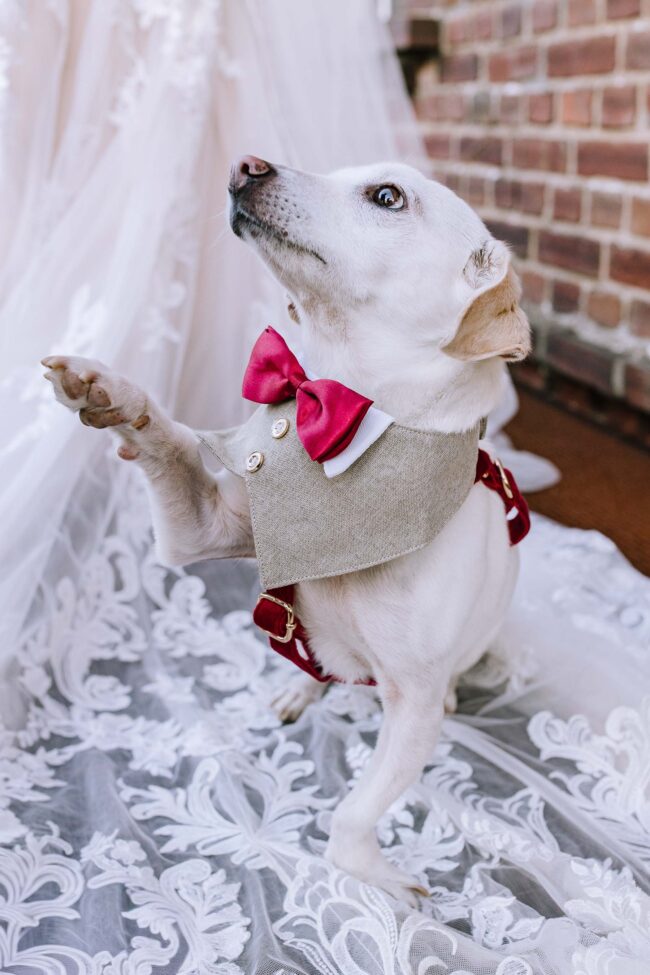 Brennerei rönsahl kierspe hochzeitslocation nrw sauerland hochzeitsfotografin meinerzhagen winterhochzeit weihnachtshochzeit (859)